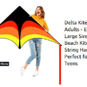 Kite Flying for Kids and Adults
