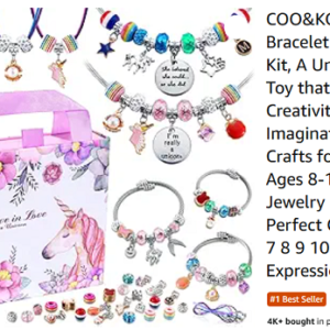 Jewelry  Making Kits